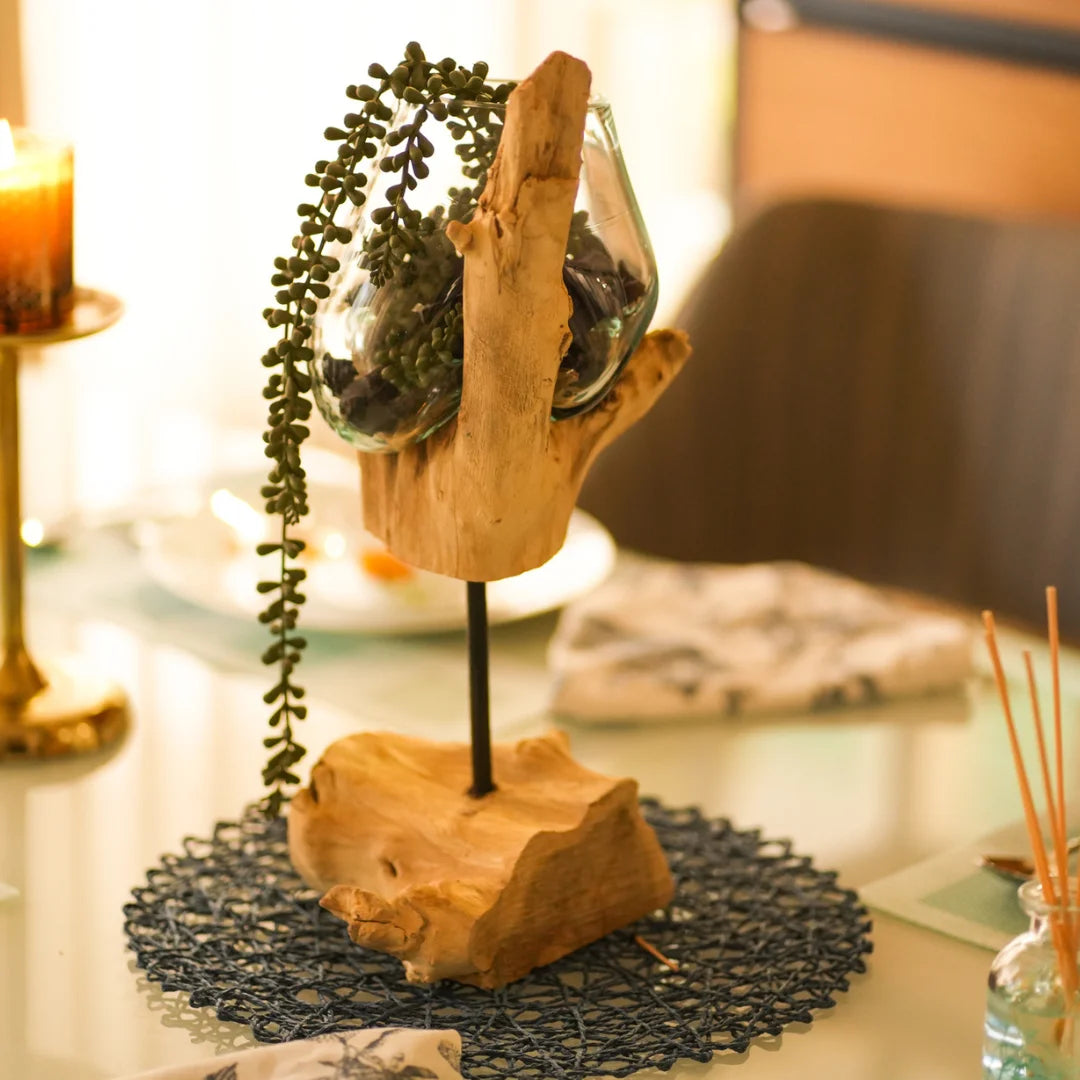 Timberkala's Stick Glass Roots Table Vase for Home