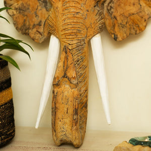 #NaturalGanesha'sEchoMedium