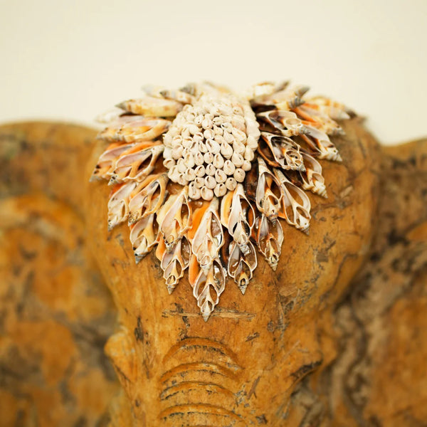 #NaturalGanesha'sEchoMedium