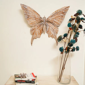 #NaturalButterflyWings