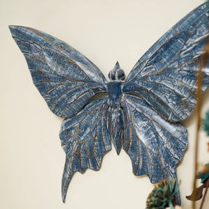#BlueWashButterflyWings