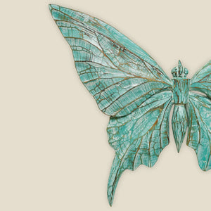 #TurquioseButterflyWings