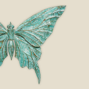 #TurquioseButterflyWings