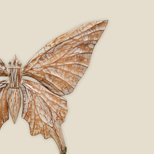 #NaturalButterflyWings