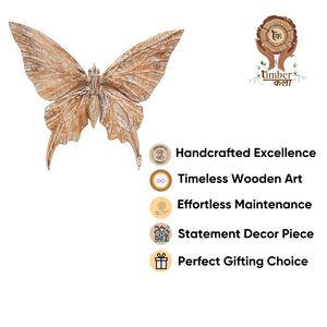 #NaturalButterflyWings