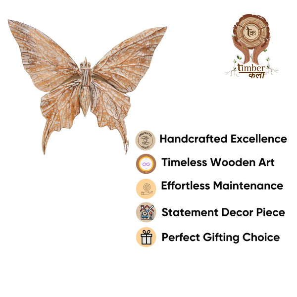 #NaturalButterflyWings