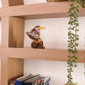 #BrownDeskBird