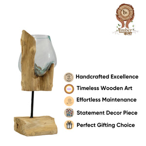 TIMBER KALA'S STICK GLASS ROOTS FOR DECOR