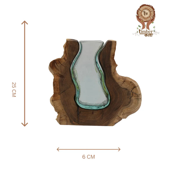 TIMBER KALA'S MEDIUM VALLEY CURVE GLASS ROOTS FOR DECOR