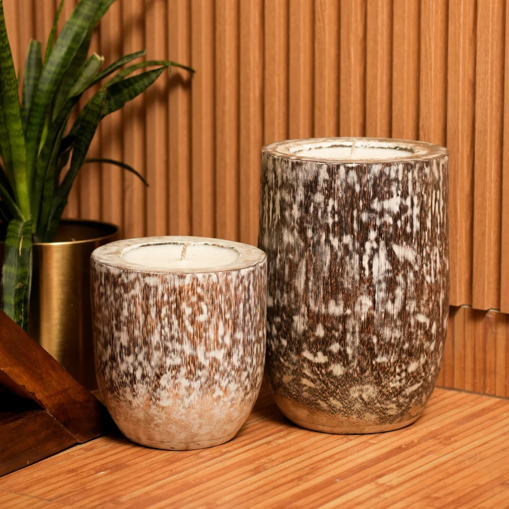 #WhiteWashLogLantern