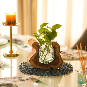 TIMBER KALA'S SMALL VALLEY CURVE GLASS ROOTS FOR DECOR