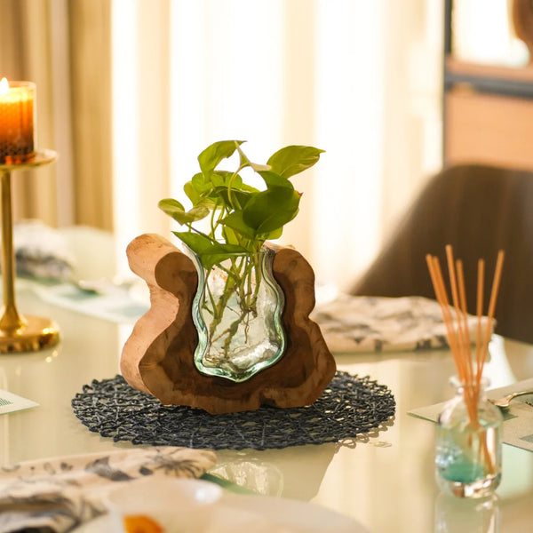 TIMBER KALA'S SMALL VALLEY CURVE GLASS ROOTS FOR DECOR