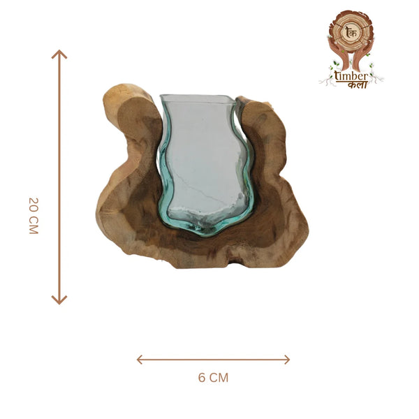 TIMBER KALA'S SMALL VALLEY CURVE GLASS ROOTS FOR DECOR