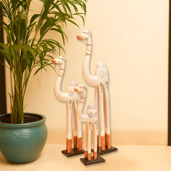 #WhiteWashCamelCaravan