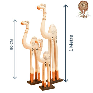 #WhiteWashCamelCaravan