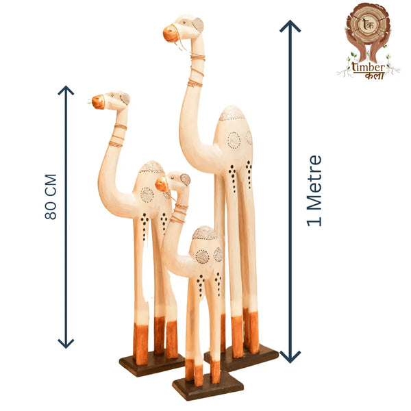 #WhiteWashCamelCaravan