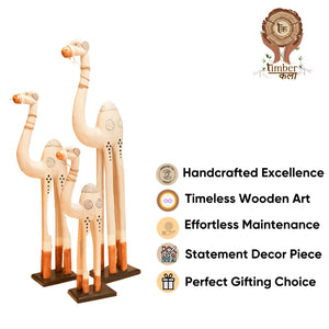 #WhiteWashCamelCaravan