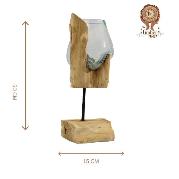 TIMBER KALA'S STICK GLASS ROOTS FOR DECOR