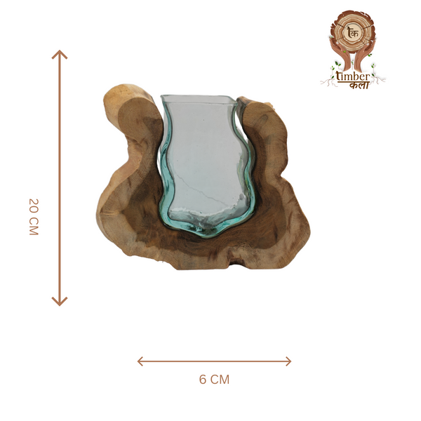 TIMBER KALA'S SMALL VALLEY CURVE GLASS ROOTS FOR DECOR