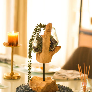 TIMBER KALA'S STICK GLASS ROOTS FOR DECOR