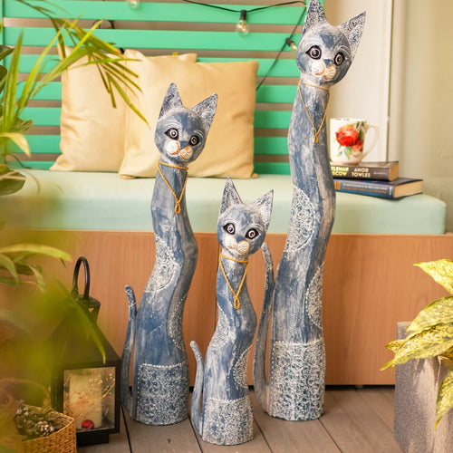 #TimberBlueKittens