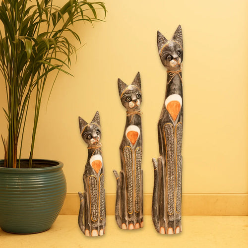 #TimberBlackKittens