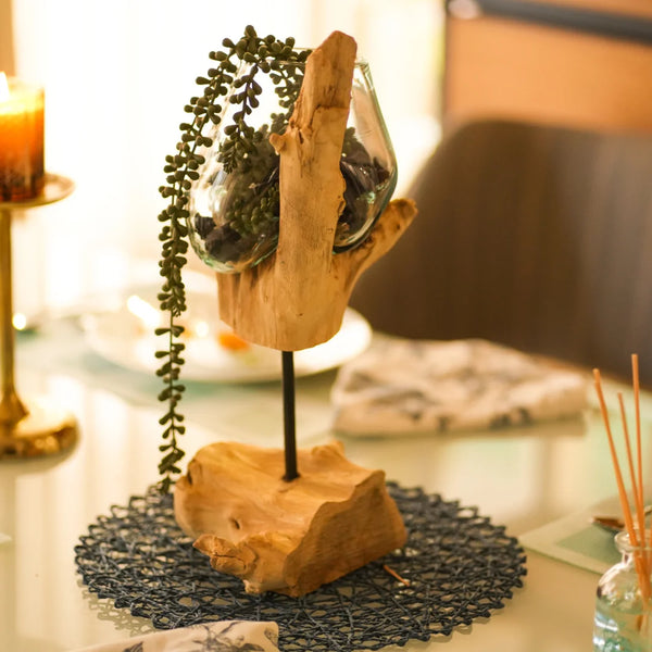 TIMBER KALA'S STICK GLASS ROOTS FOR DECOR