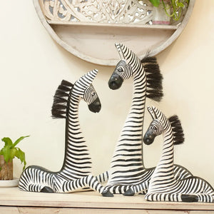 #WhiteRestingZebra