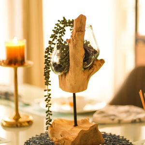 TIMBER KALA'S STICK GLASS ROOTS FOR DECOR