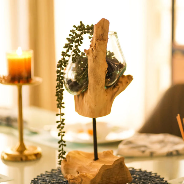 TIMBER KALA'S STICK GLASS ROOTS FOR DECOR