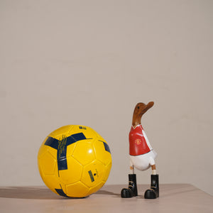 TIMBERKALA'S MANCHESTER SWAGGER DUCK FOR DECOR