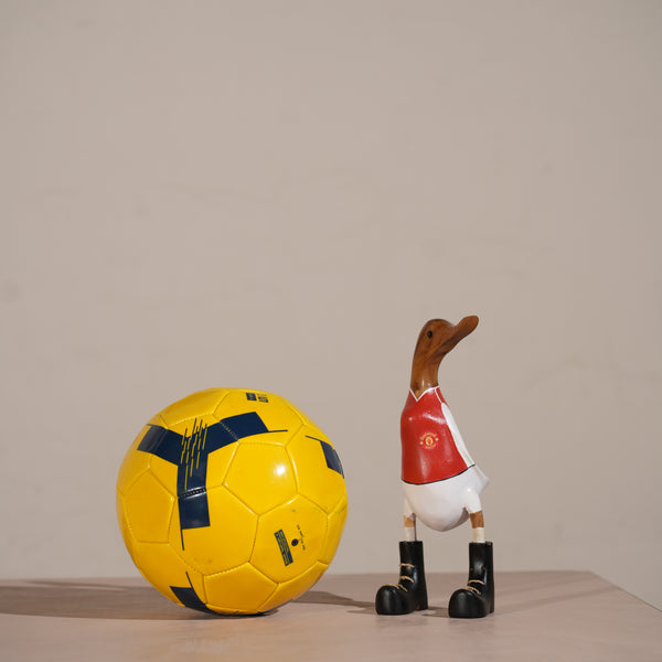 TIMBERKALA'S MANCHESTER SWAGGER DUCK FOR DECOR