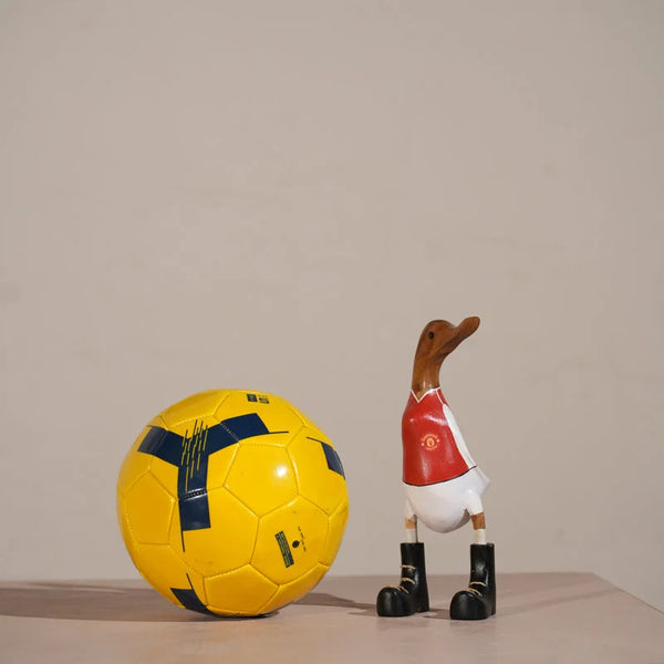 TIMBERKALA'S MANCHESTER SWAGGER DUCK FOR DECOR
