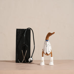 TIMBERKALA'S DOCTOR SWAGGER DUCK FOR DECOR