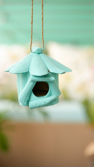 #turquoise