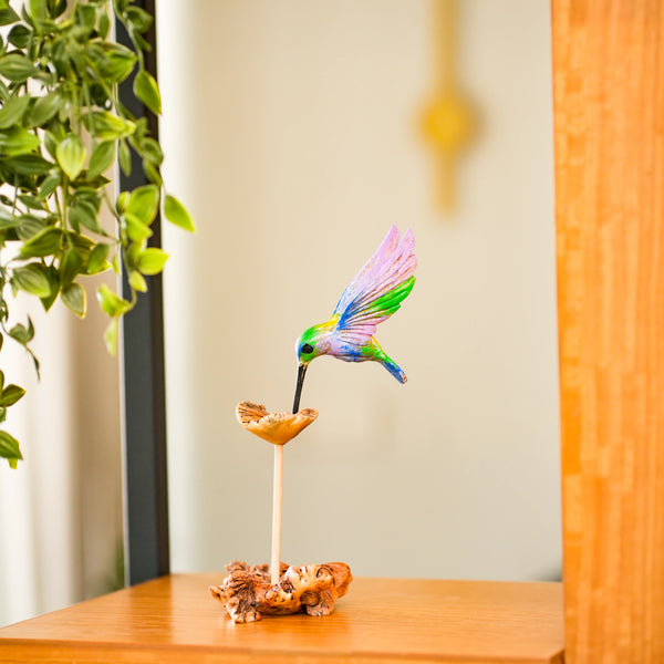 #MulticolorHummingBird