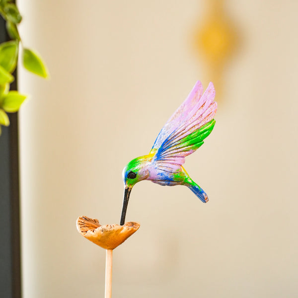 #MulticolorHummingBird