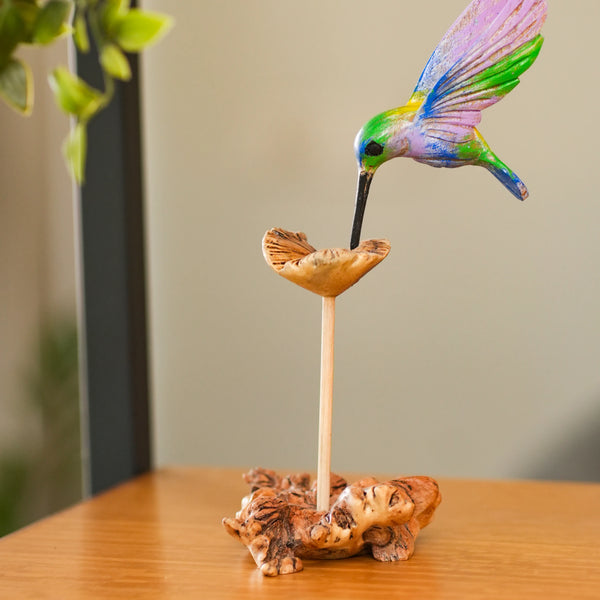 #MulticolorHummingBird