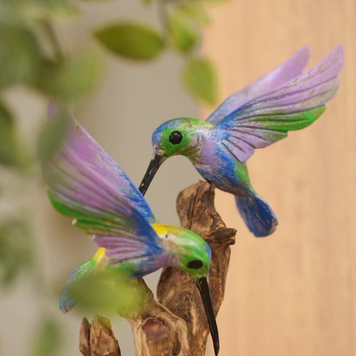 #MulticolorDoubleHummingBirdOnDriftwood