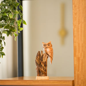 TIMBER KALA'S PERCHED WISDOM FOR DECOR