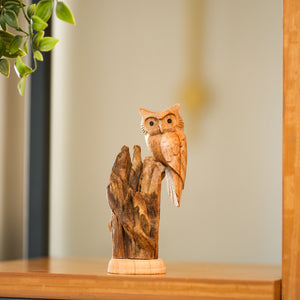 TIMBER KALA'S PERCHED WISDOM FOR DECOR