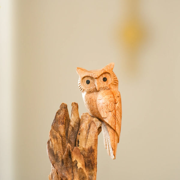 TIMBER KALA'S PERCHED WISDOM FOR DECOR