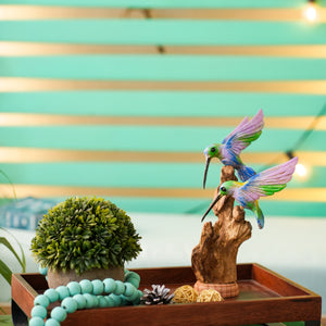 #MulticolorDoubleHummingBirdOnDriftwood