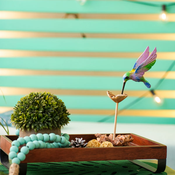 #MulticolorHummingBird