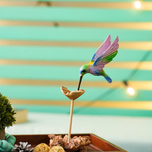 #MulticolorHummingBird