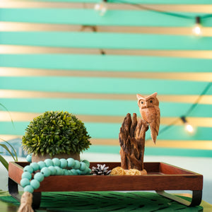 TIMBER KALA'S PERCHED WISDOM FOR DECOR