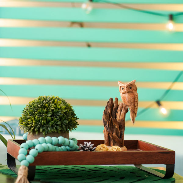 TIMBER KALA'S PERCHED WISDOM FOR DECOR