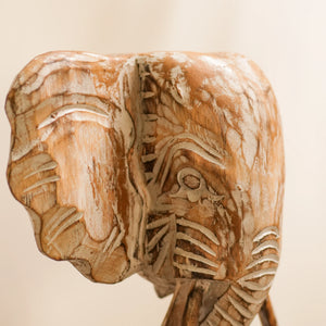 #WhiteWashGaneshaOnStand