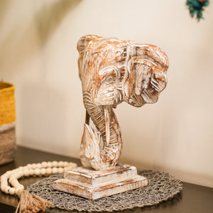 #WhiteWashGaneshaOnStand