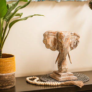 #WhiteWashGaneshaOnStand